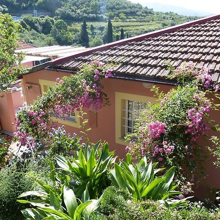 Belvedere Lodge К'яварі Екстер'єр фото