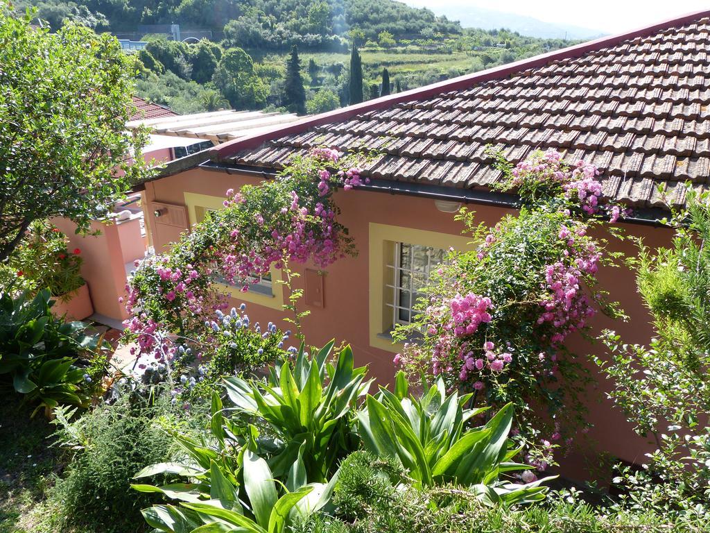 Belvedere Lodge К'яварі Екстер'єр фото